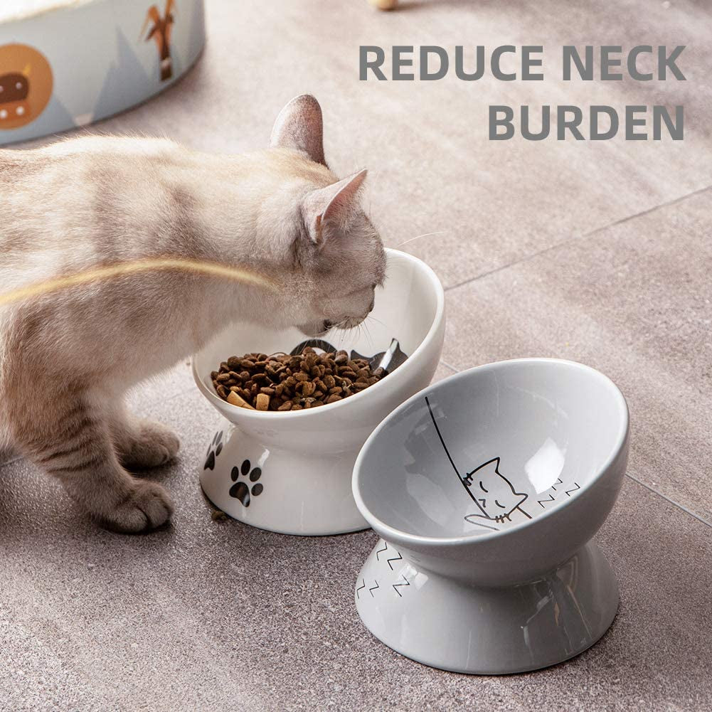 Ceramic Raised Cat Bowls, Slanted Cat Dish Food or Water Bowls